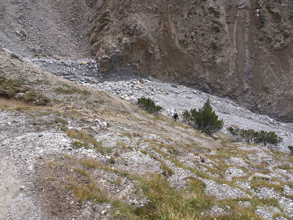 P1014167.jpg