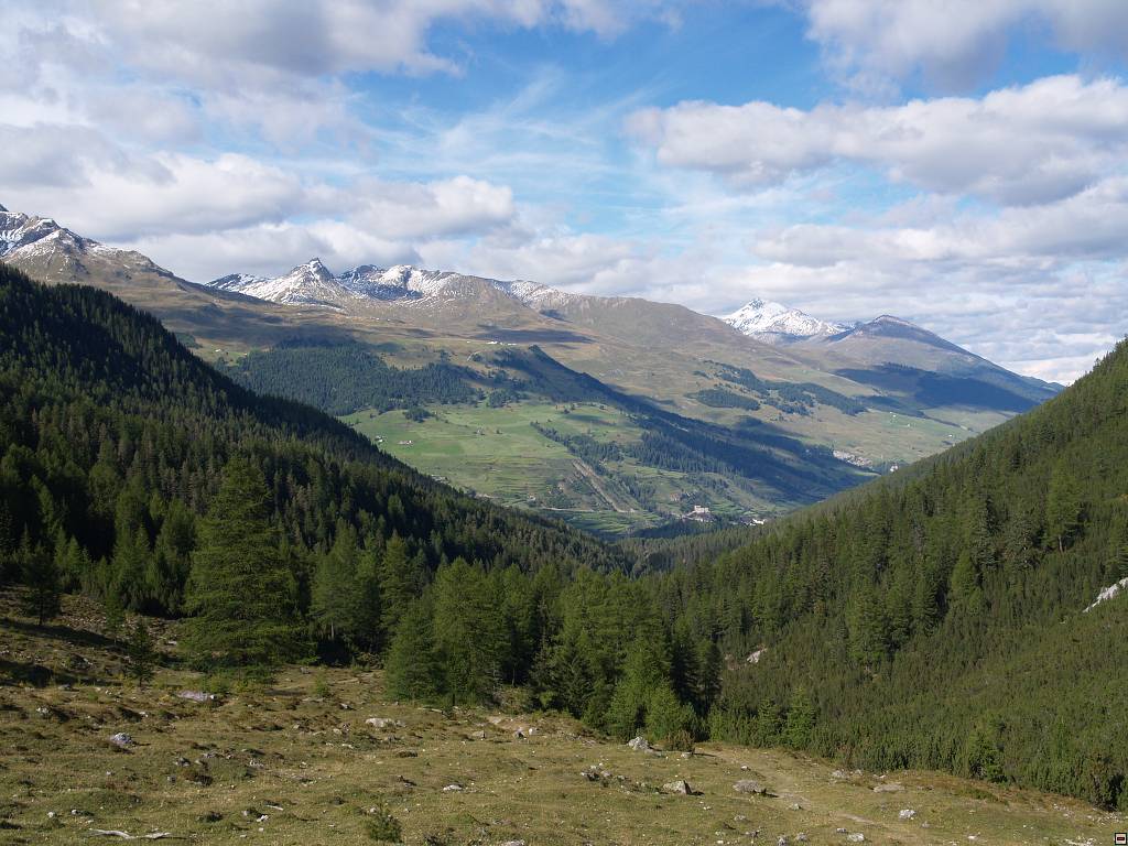 P1014225.jpg