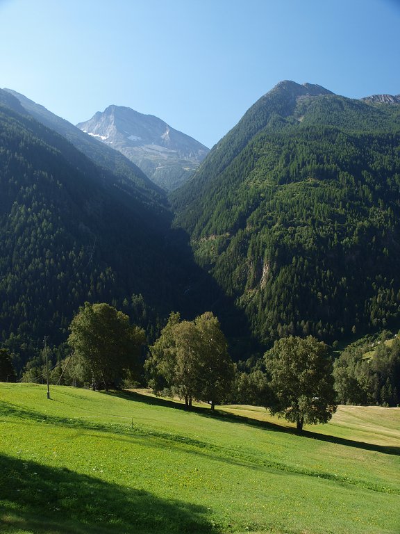 P8085604.jpg