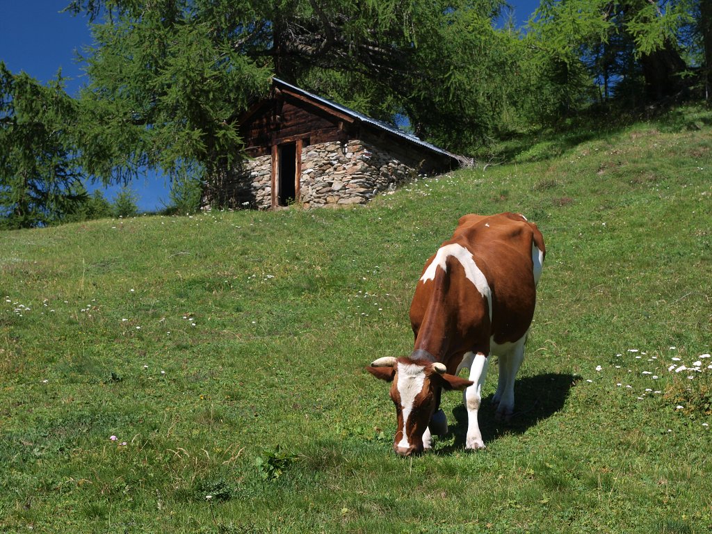 P8085688.jpg