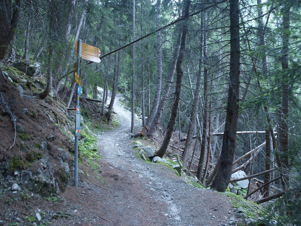 P8085704.jpg