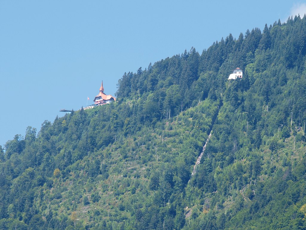 P8105952.jpg