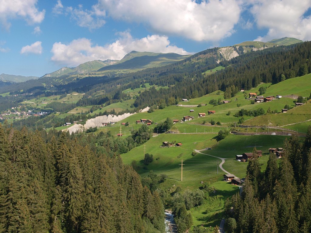 P8116164.jpg
