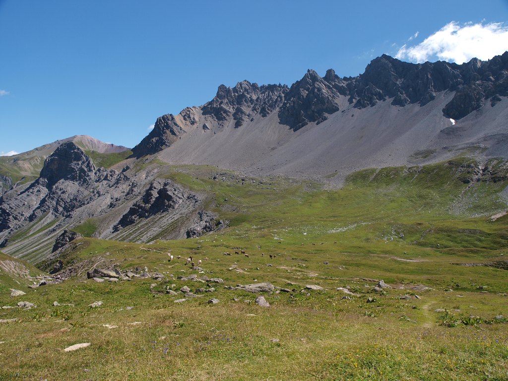 P8116216.jpg