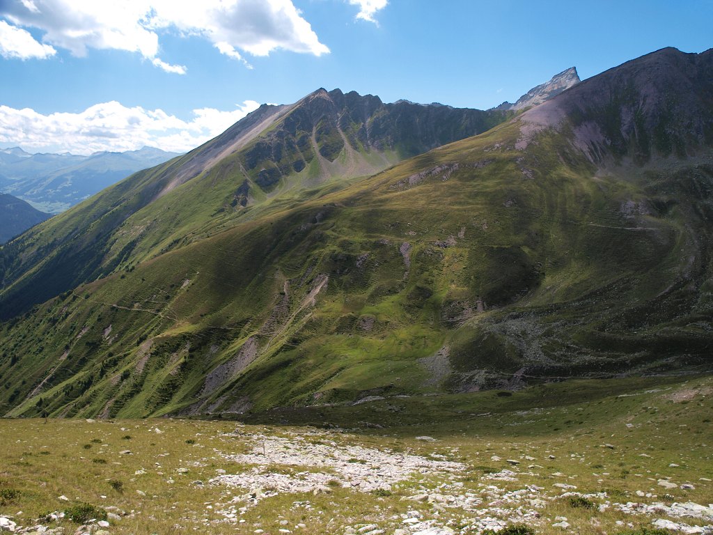 P8116251.jpg