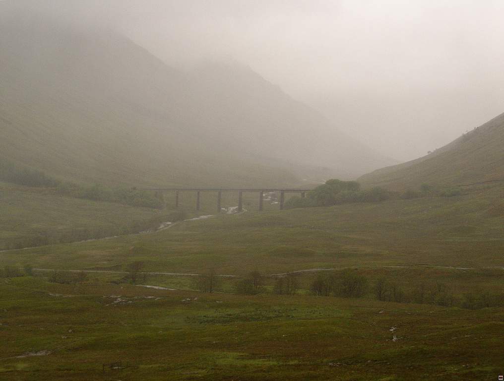 DSC05786.jpg