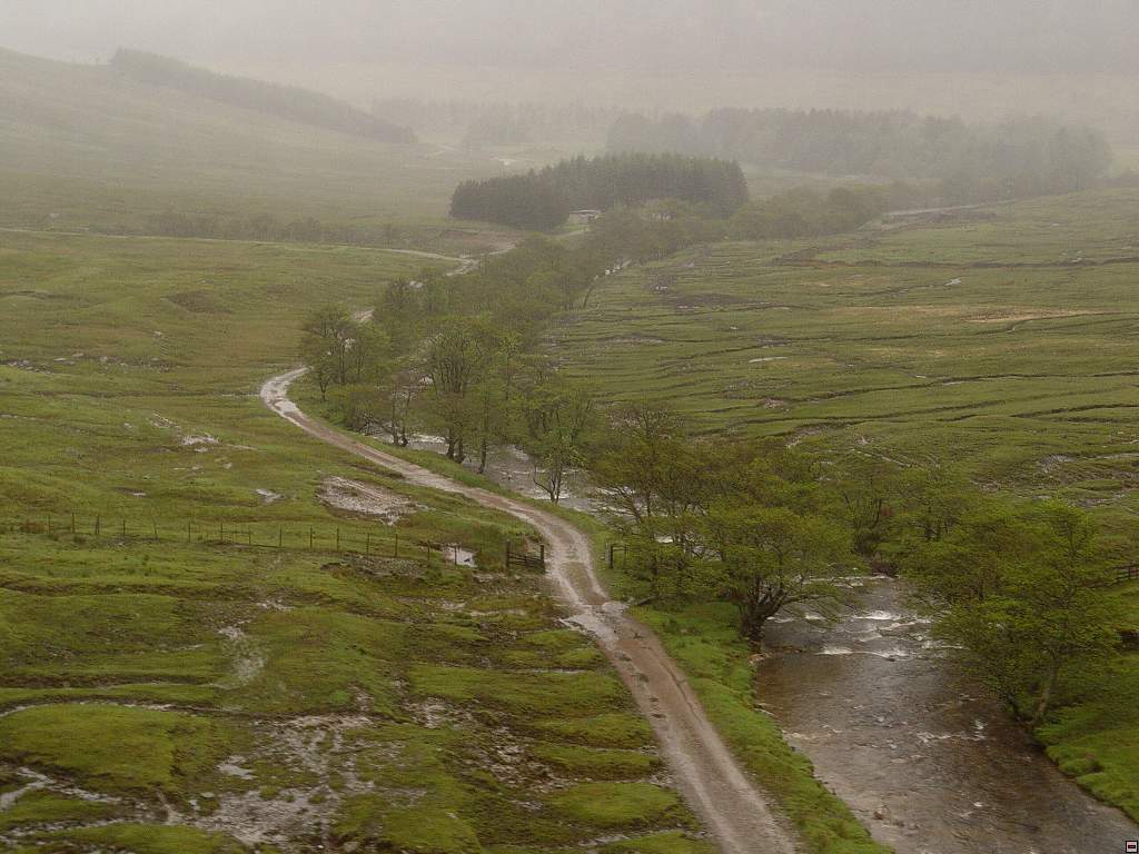 DSC05788.jpg