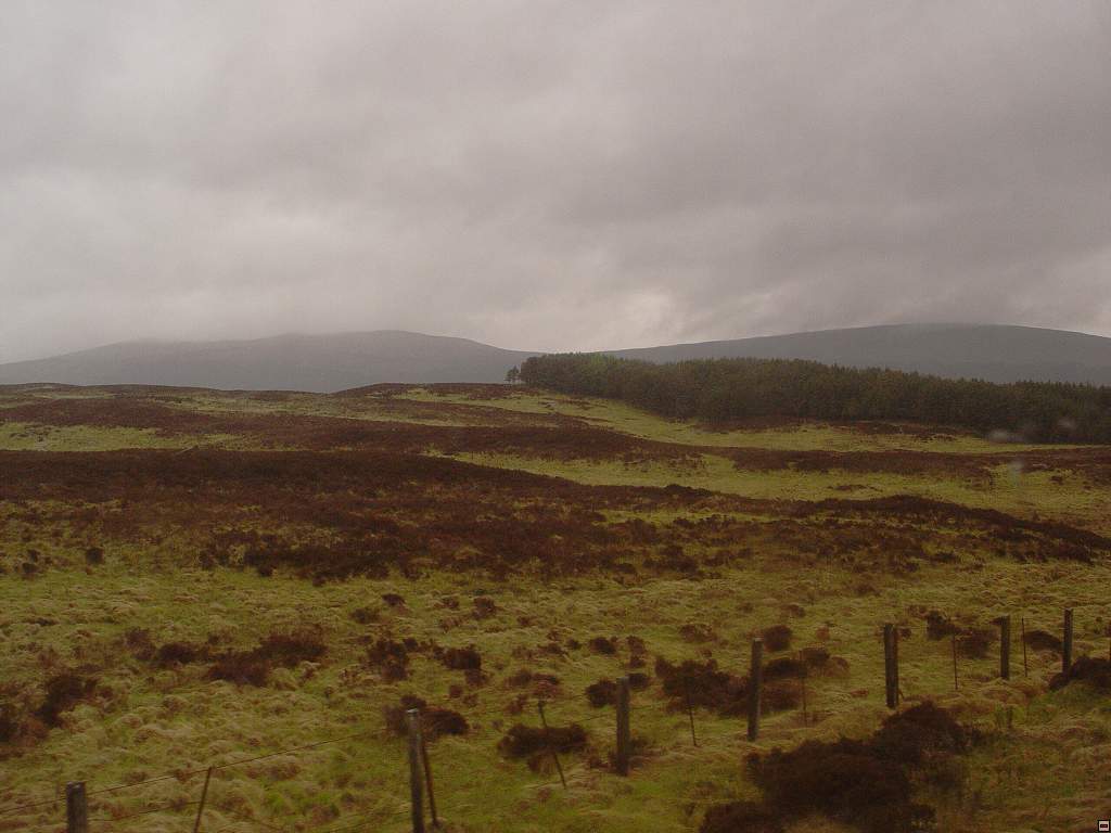 DSC05798.jpg