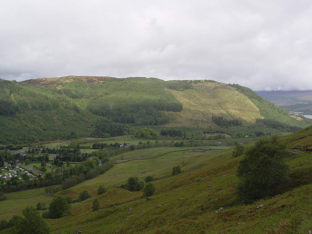 DSC05808.jpg