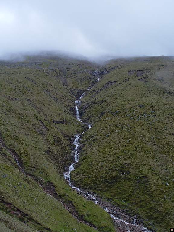 DSC05811.jpg