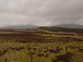 thn_DSC05798.jpg