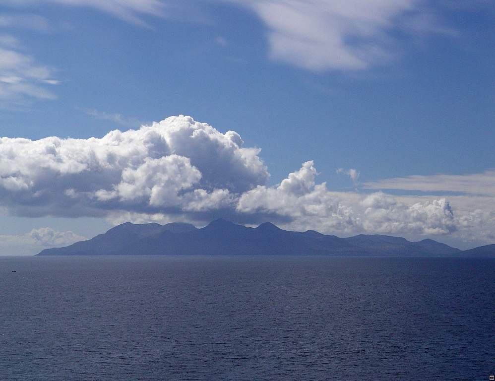 DSC05919.jpg