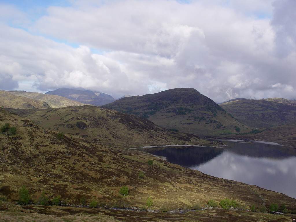 DSC05945.jpg