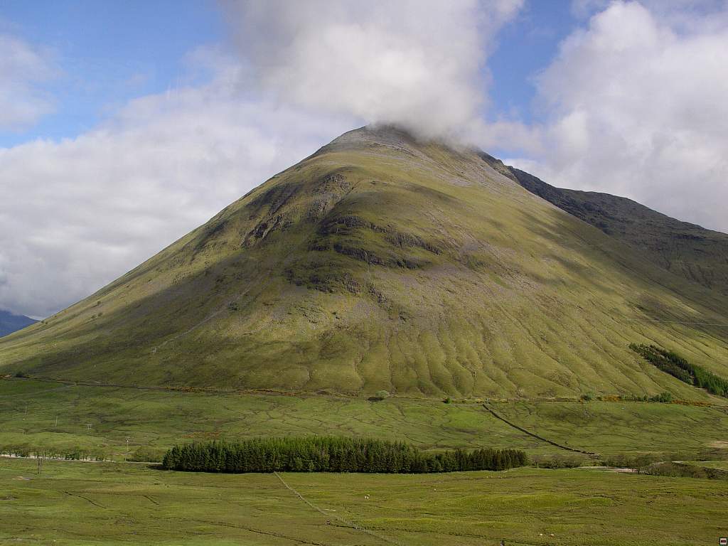 DSC05959.jpg