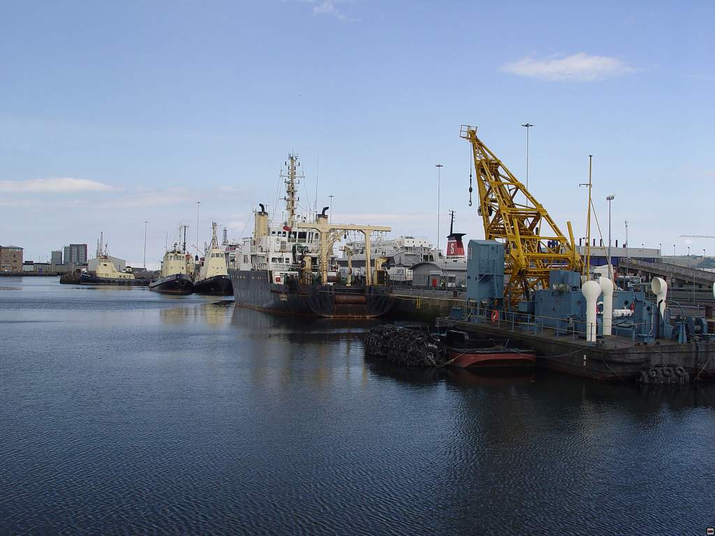 DSC05978.jpg
