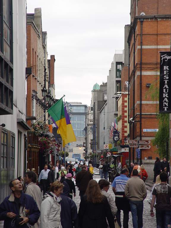 DSC06059.jpg