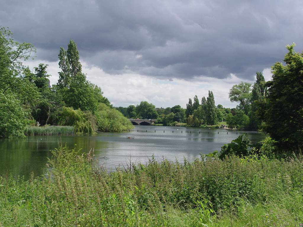 DSC06086.jpg