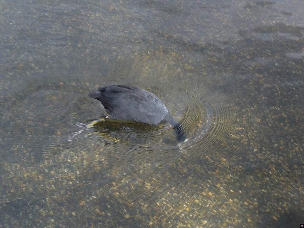 DSC06089.jpg