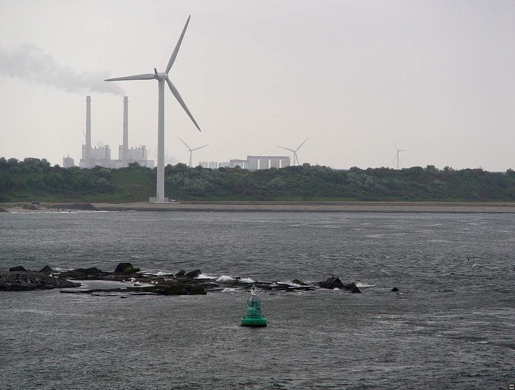 DSC06114.jpg