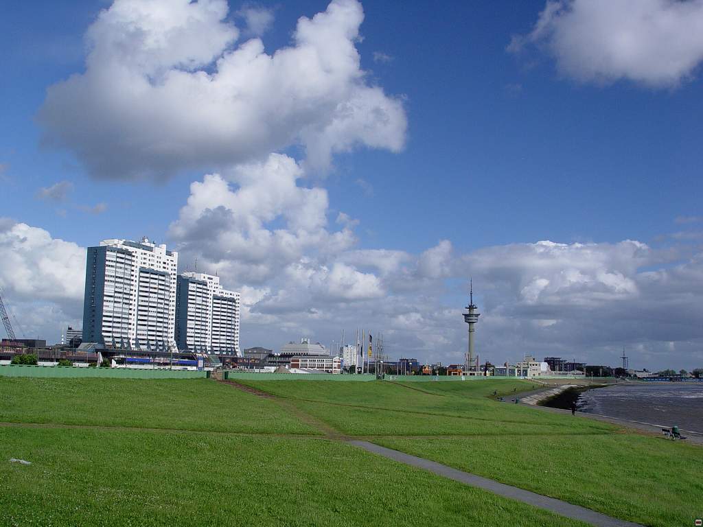 DSC06125.jpg