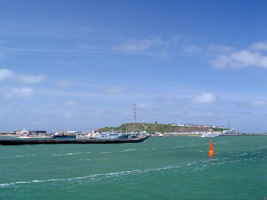 DSC06149.jpg