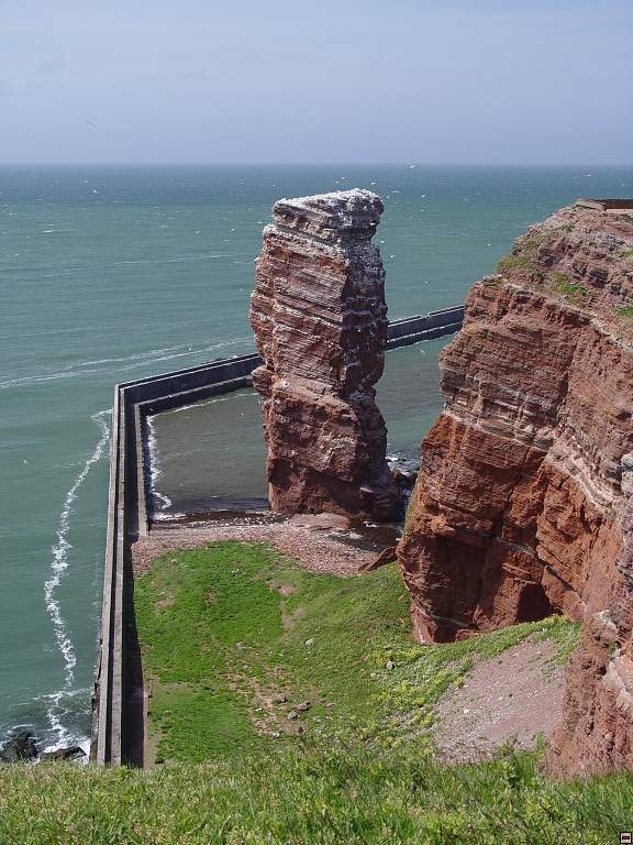 DSC06164.jpg