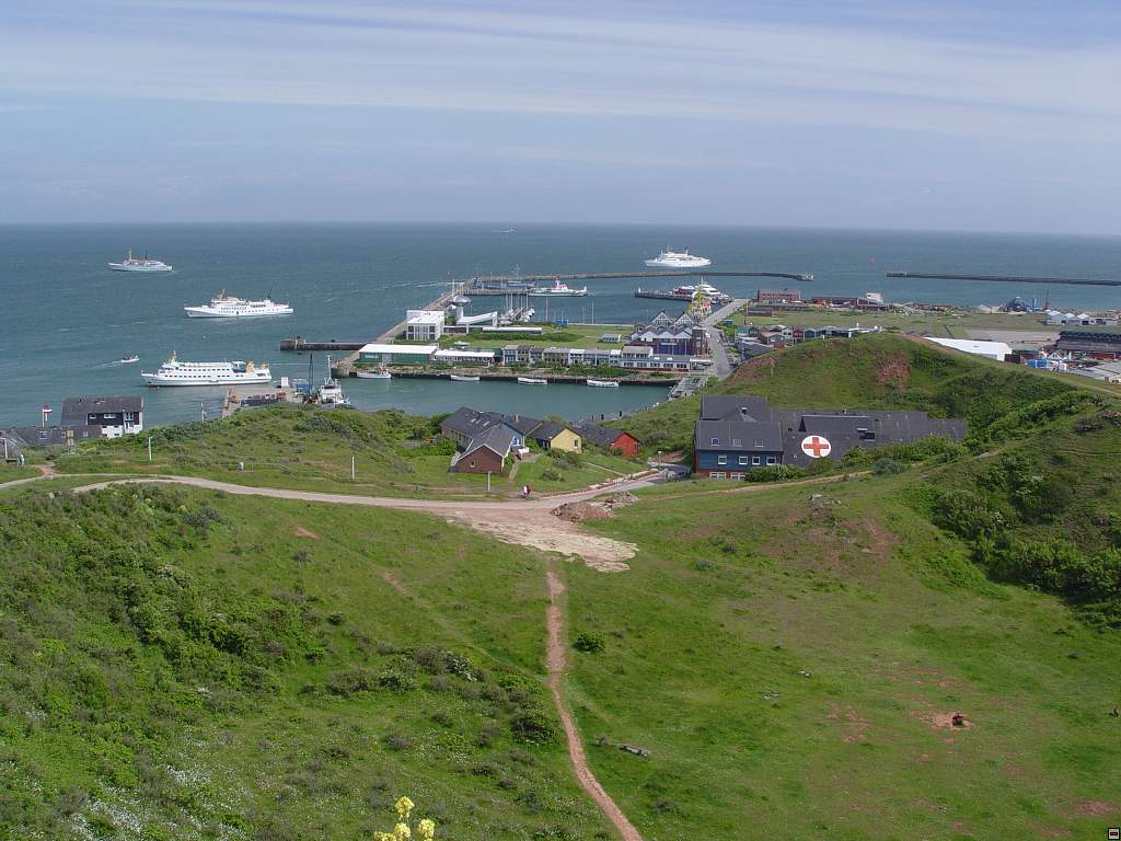 DSC06175.jpg