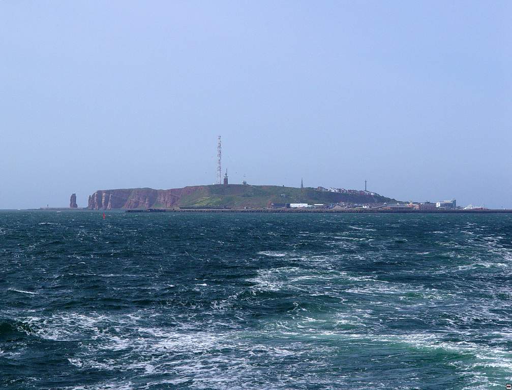 DSC06178.jpg