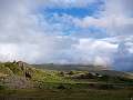 thn_P1011007z.jpg