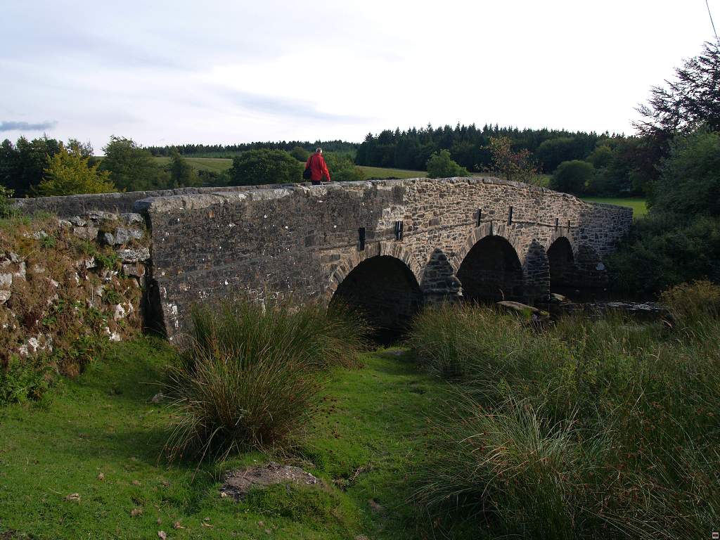 P1011147z.jpg