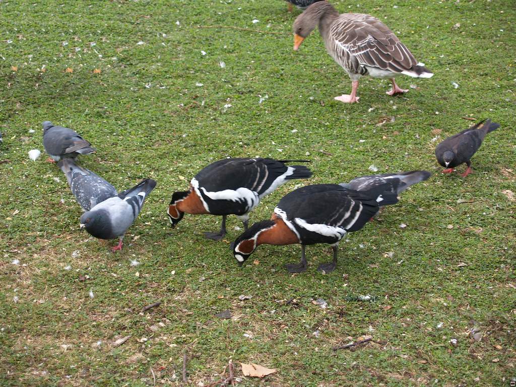 P1011305z.jpg