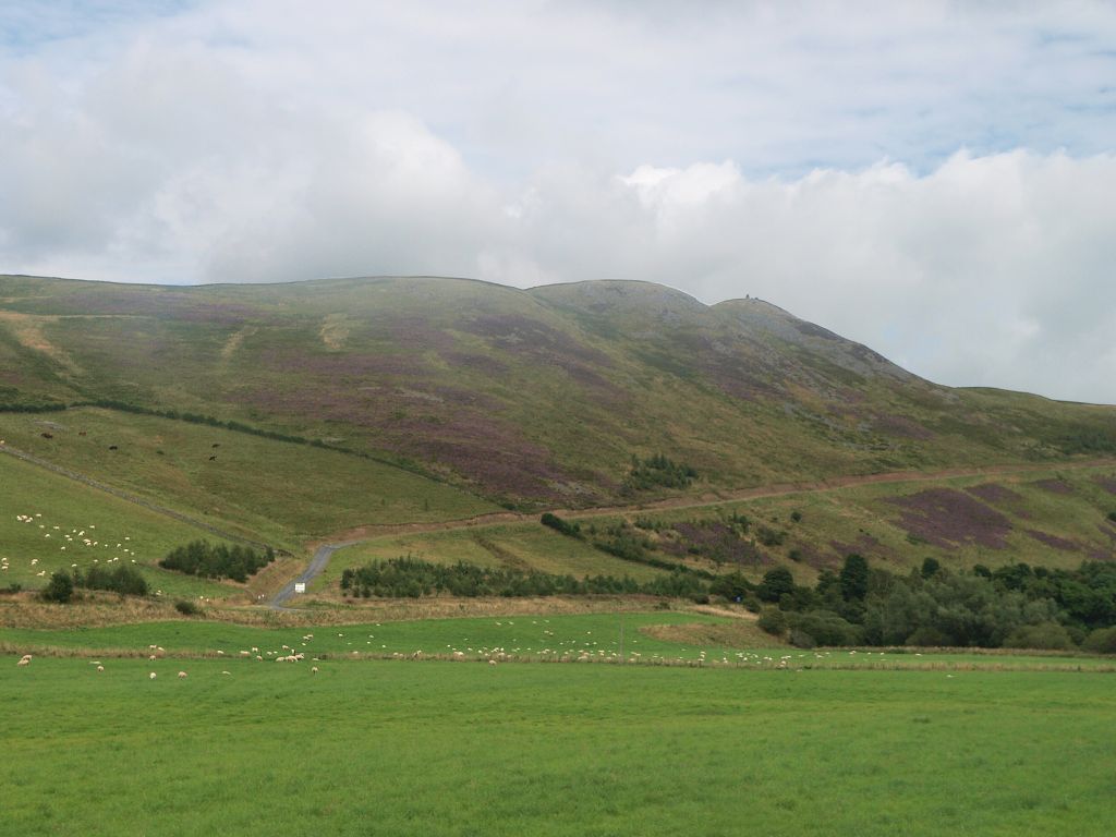 img00012.jpg