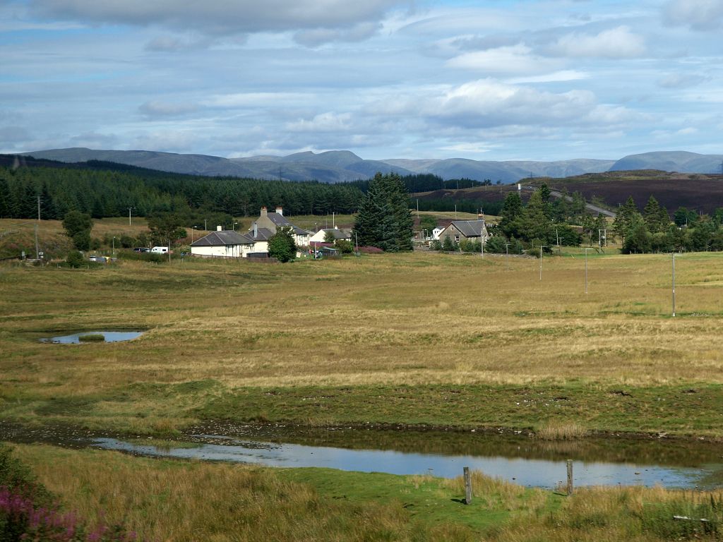 img00008.jpg