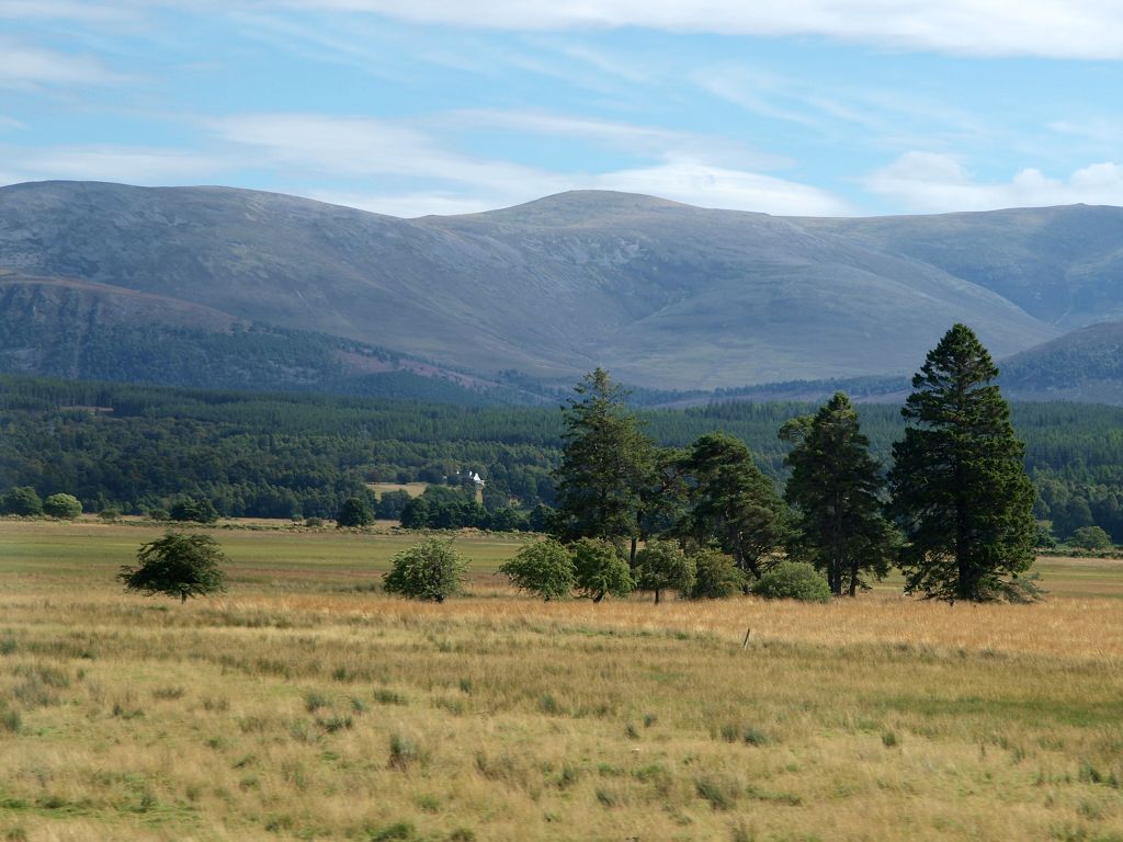 img00009.jpg