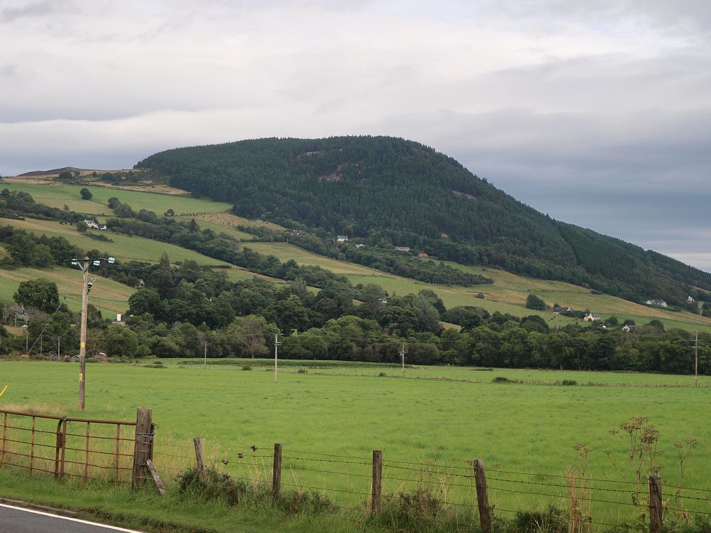 img00011.jpg