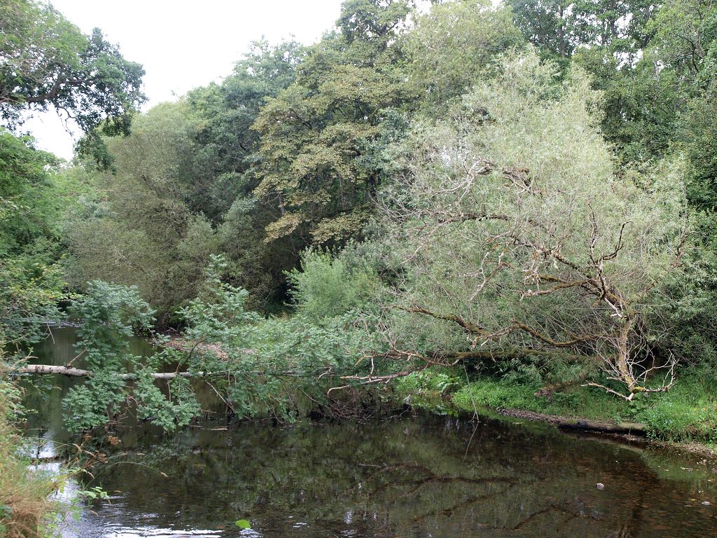 img00013.jpg