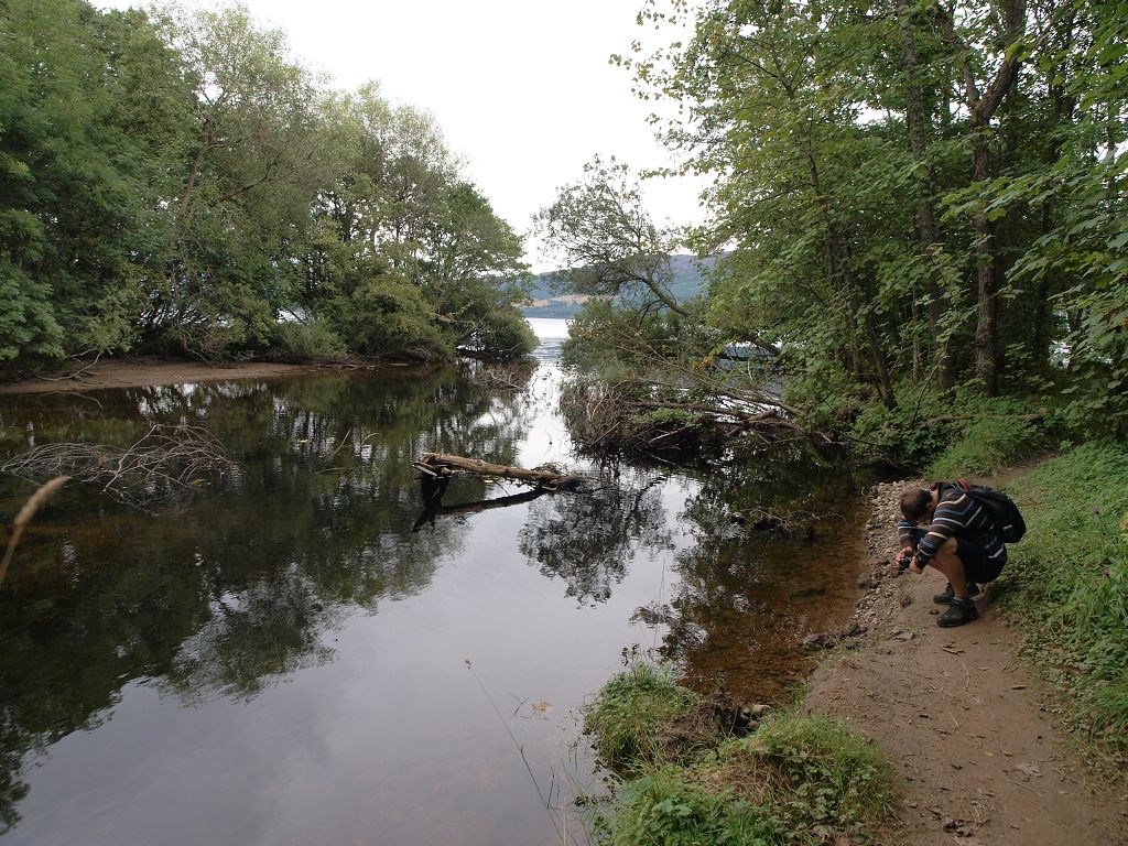 img00016.jpg