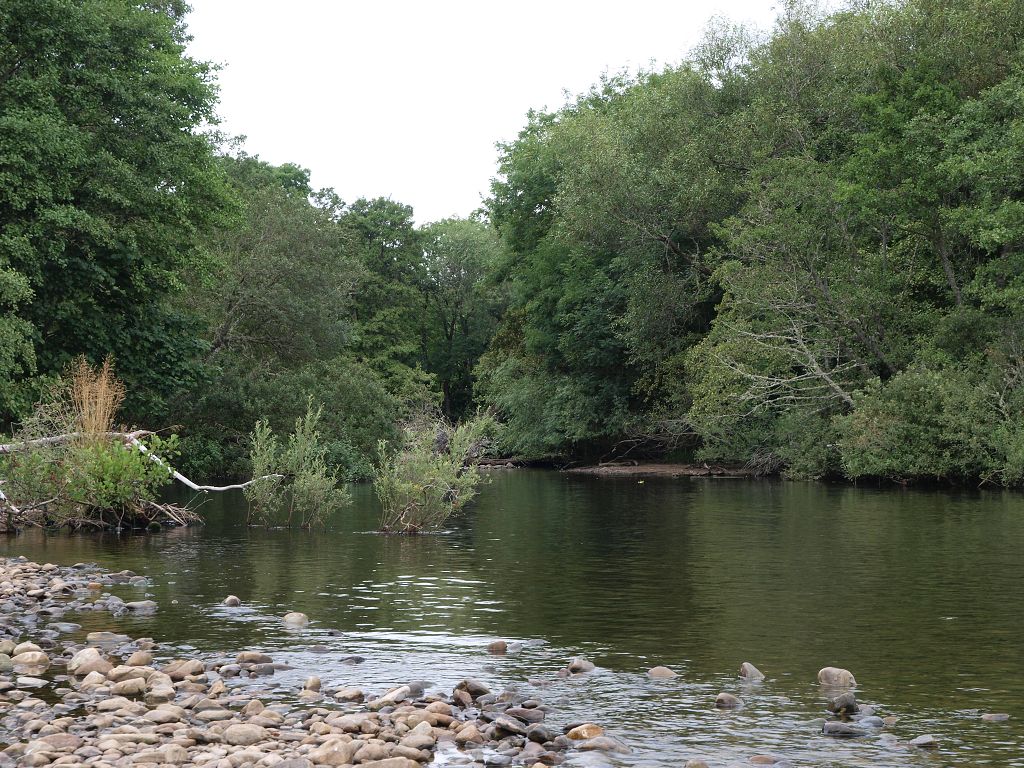 img00019.jpg