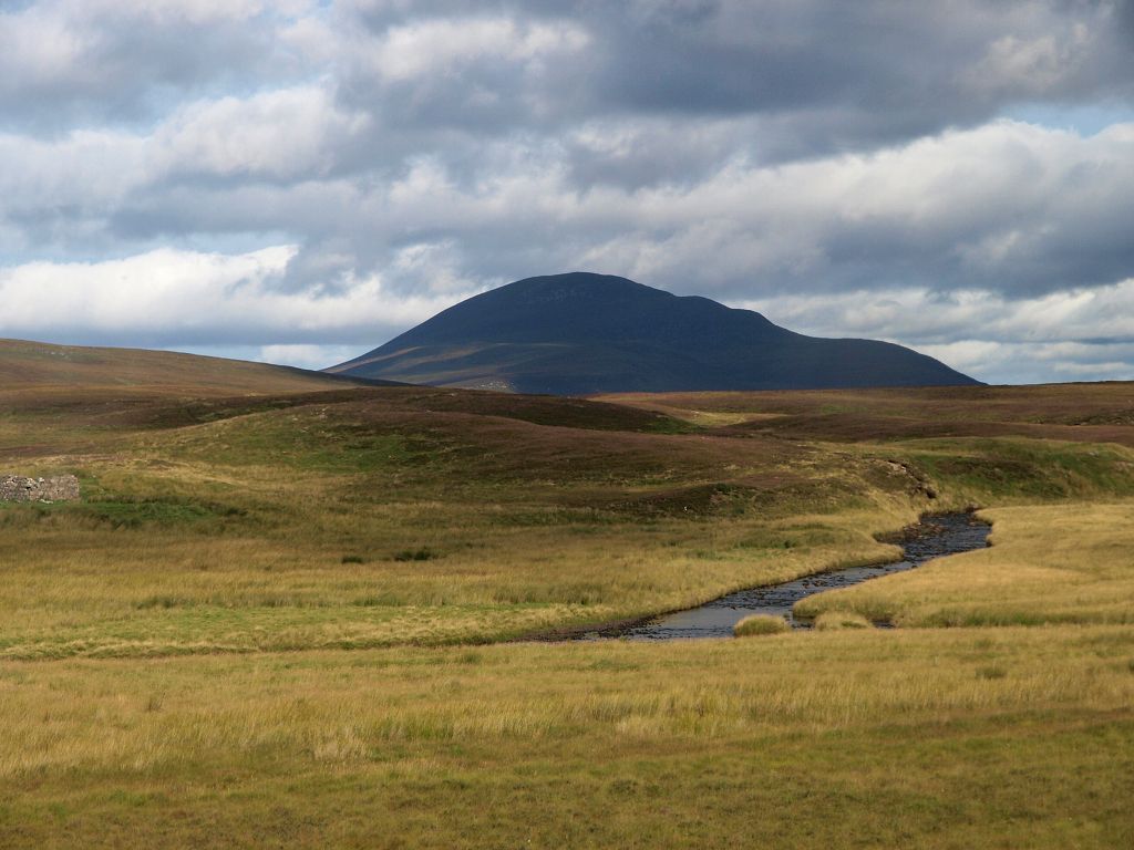 img00006.jpg