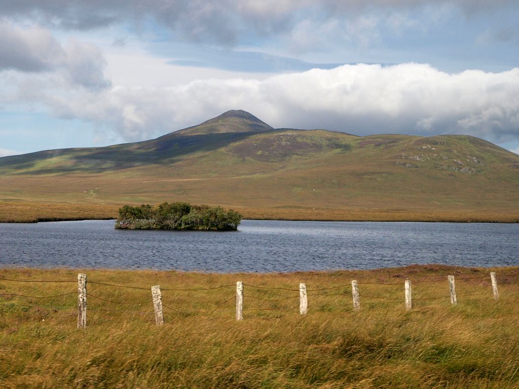 img00008.jpg