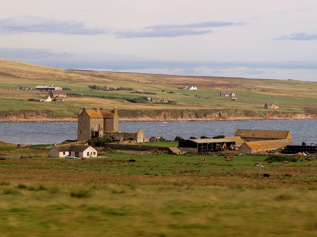 img00011.jpg
