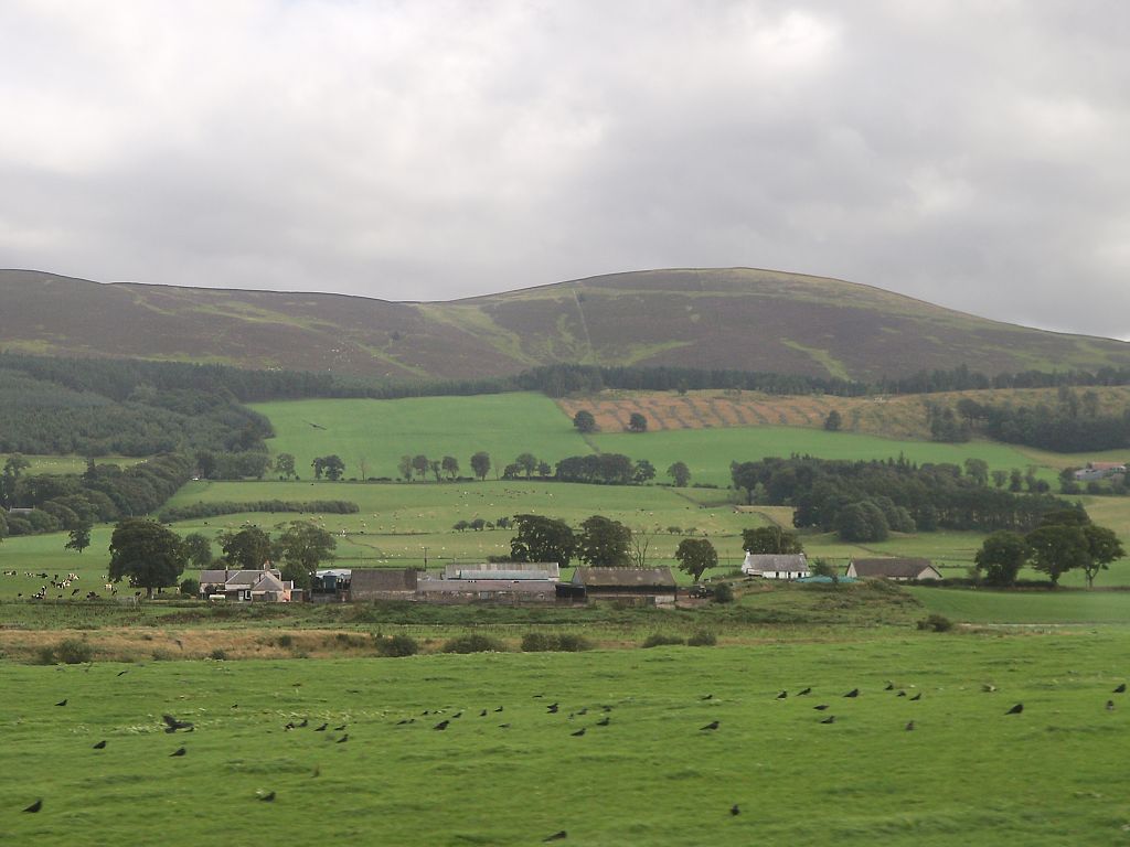 img00008.jpg