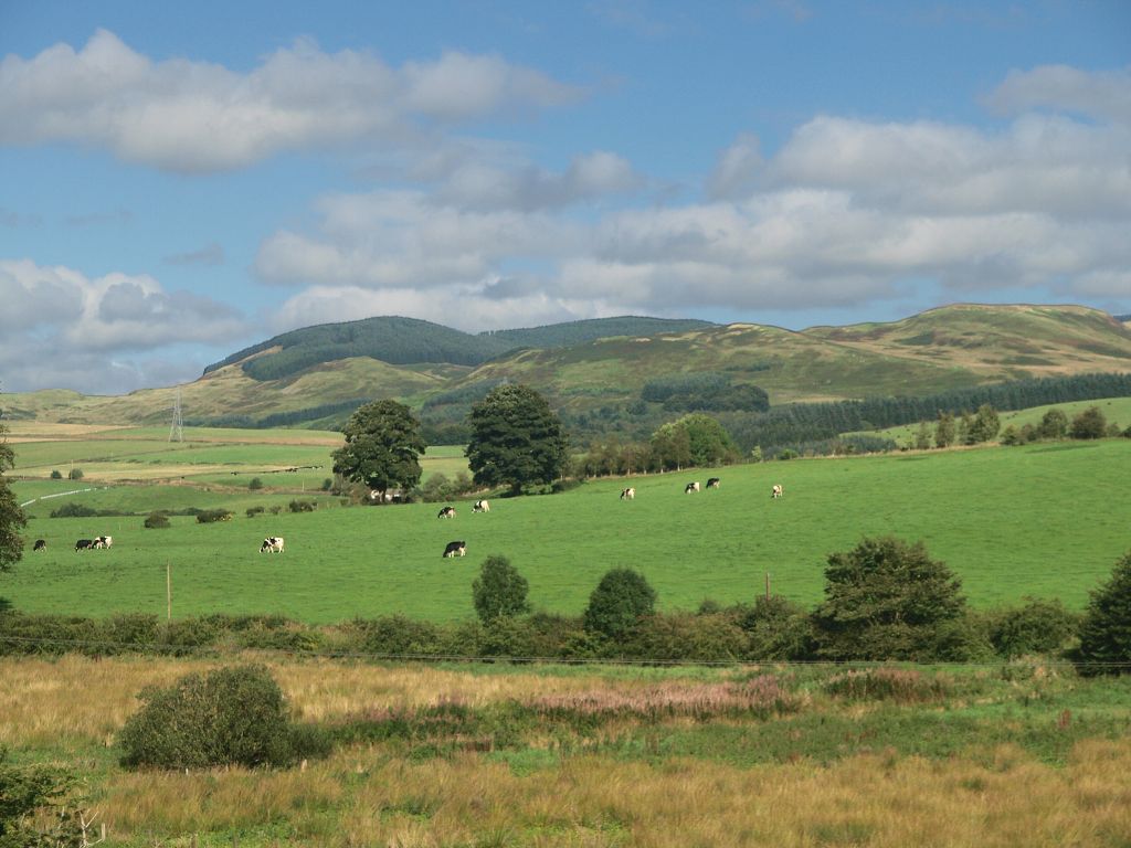 img00010.jpg