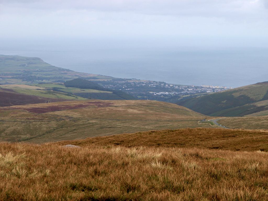 img00009.jpg