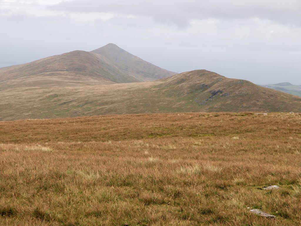 img00010.jpg