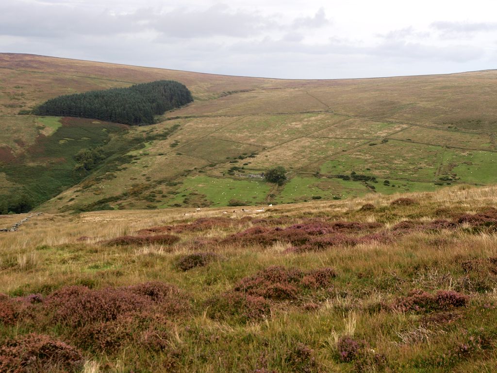 img00019.jpg