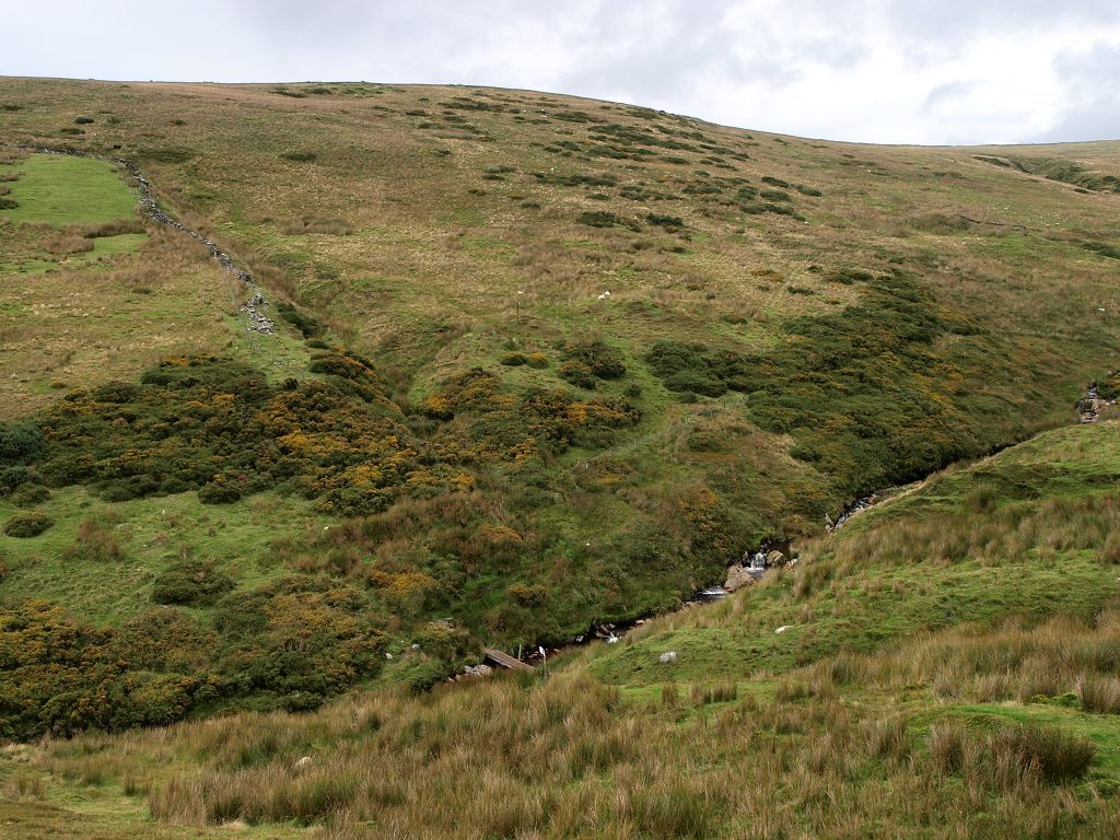 img00020.jpg