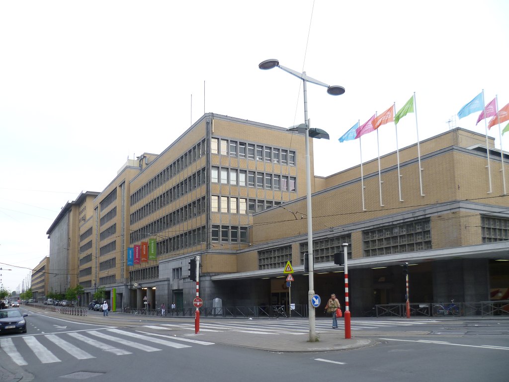 12.jpg