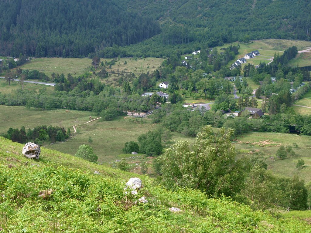 P6117550.jpg