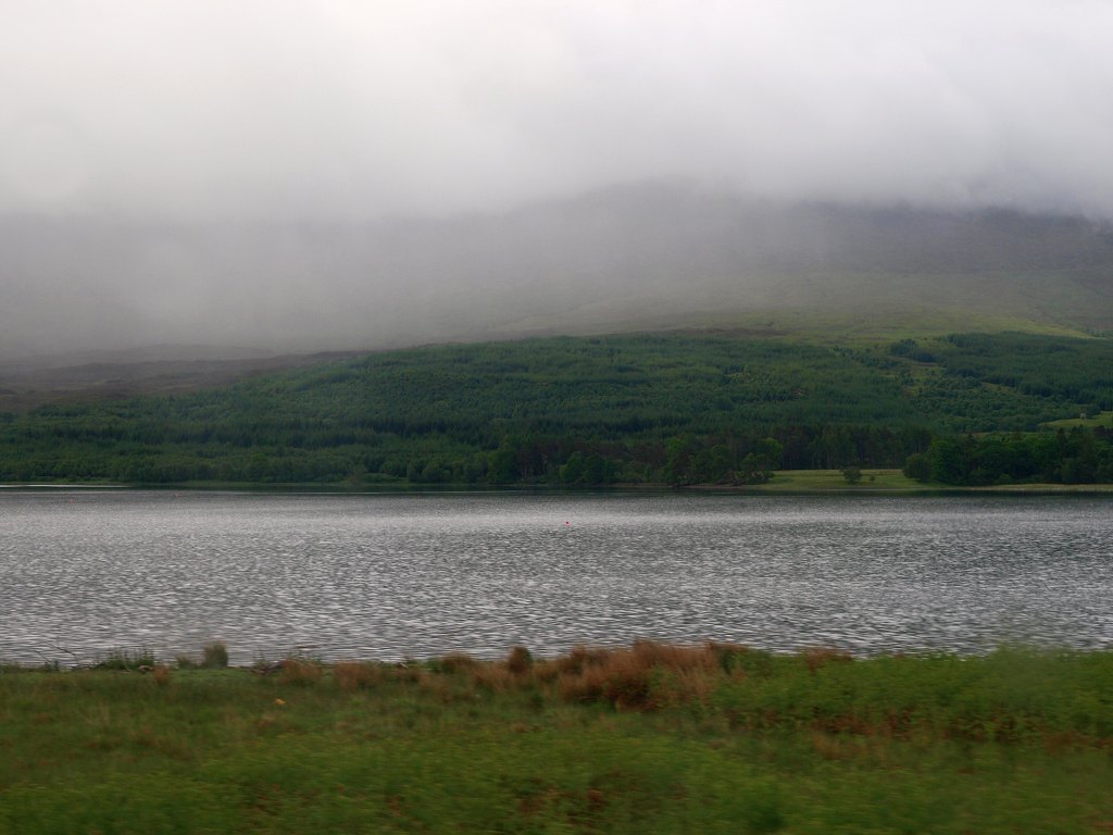 P6127623.jpg